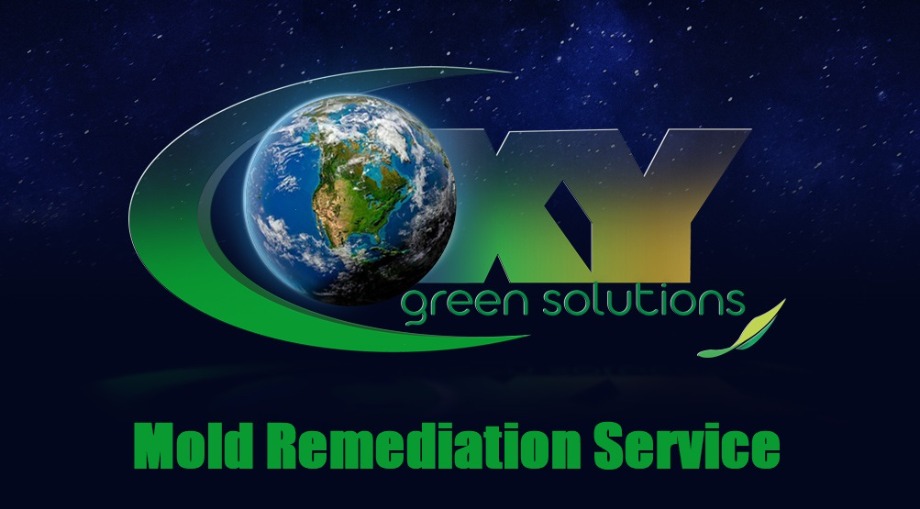 Kills Mold, Roots, Spores Trauma Aftermath Sanitization 