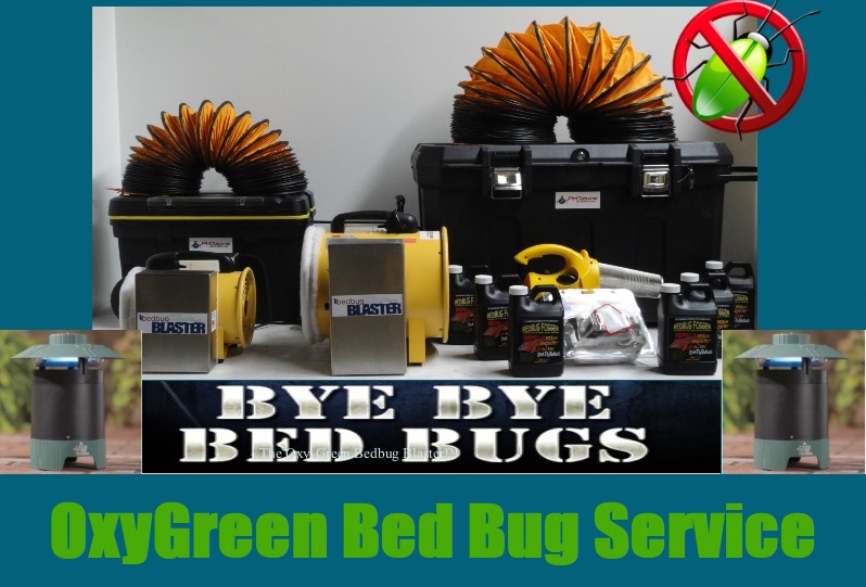 Single Visit Bed Bug Killer Trauma Aftermath Sanitization 