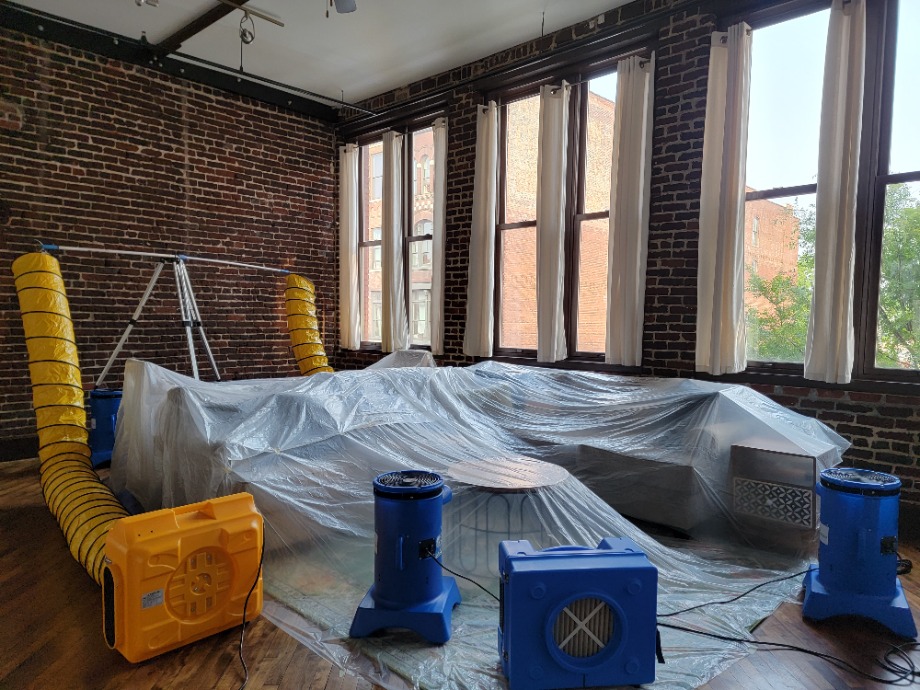 Allergen Removal Service Trauma Aftermath Sanitization 