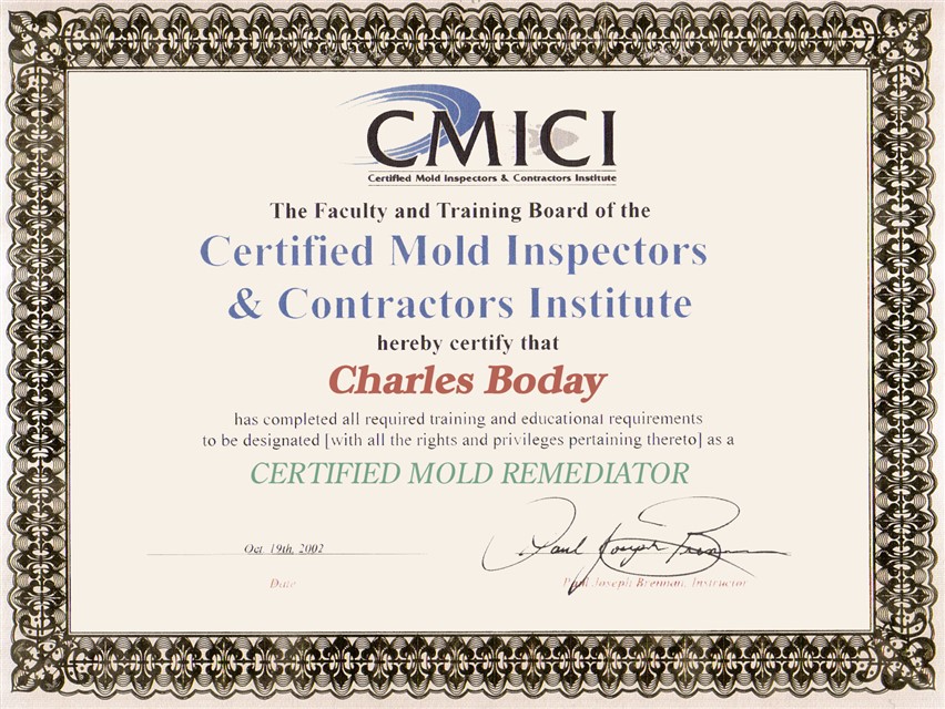 Mold Certified BioBlaster 